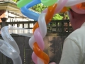 Jungle John Balloon Shows